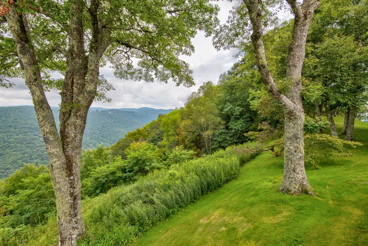 A serene view of lush greenery and distant mountains framed by trees, inviting feelings of peace and tranquility. The landscape hints at open space perfect for morning walks, exploration, and relaxation in nature.