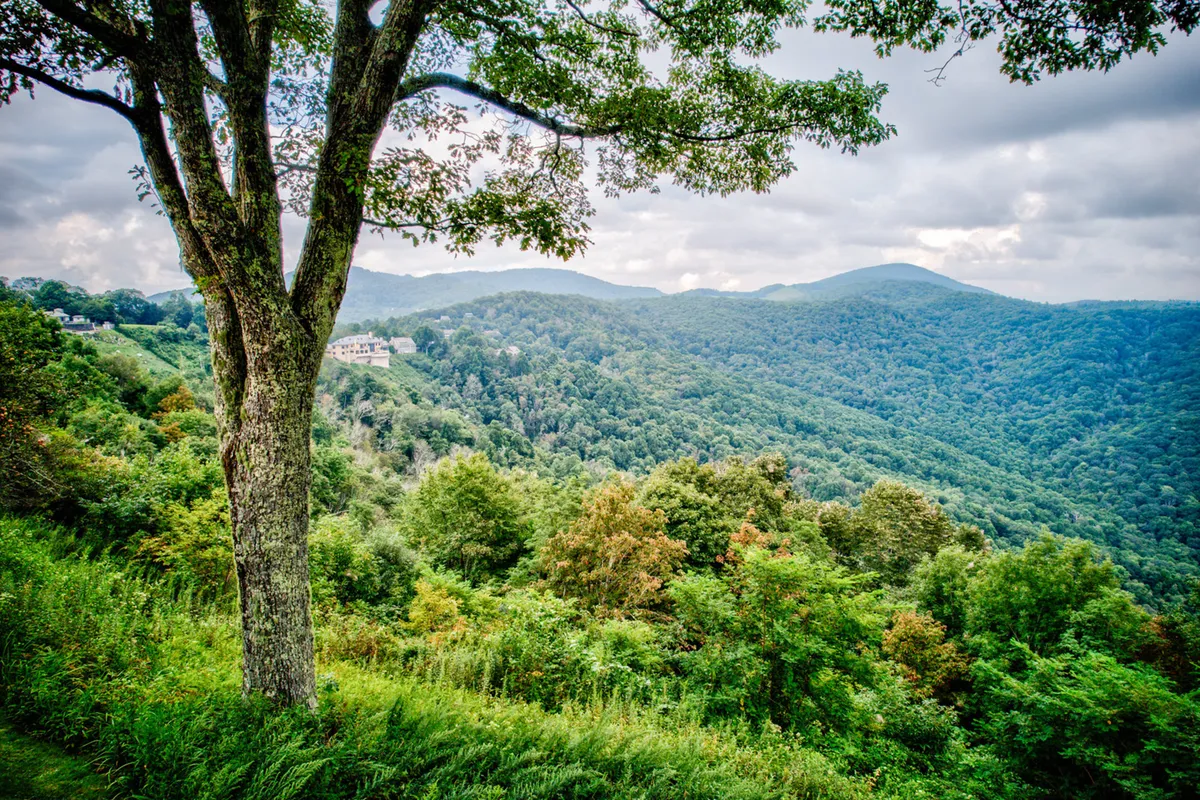 An expansive view of green mountains and rolling hills, with a large tree anchoring the foreground. The tranquil mood and open landscape evoke the allure of exploring nearby trails and savoring the natural beauty of the Blue Ridge region.